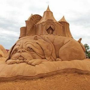 Meet your Posher, Shelly